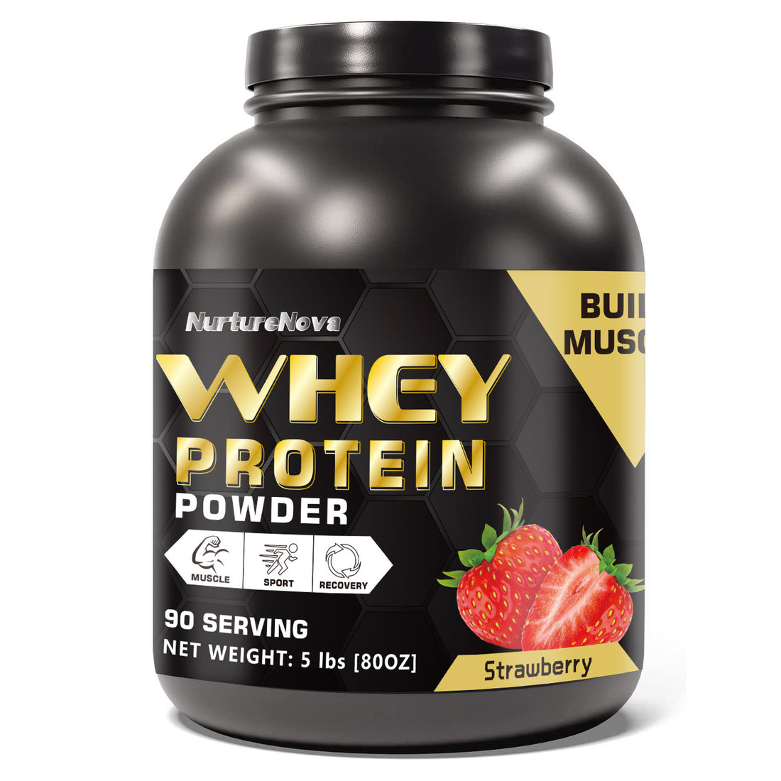 Whey Protein Powder 5Lbs Chocolate Strawberry Vanilla Matcha