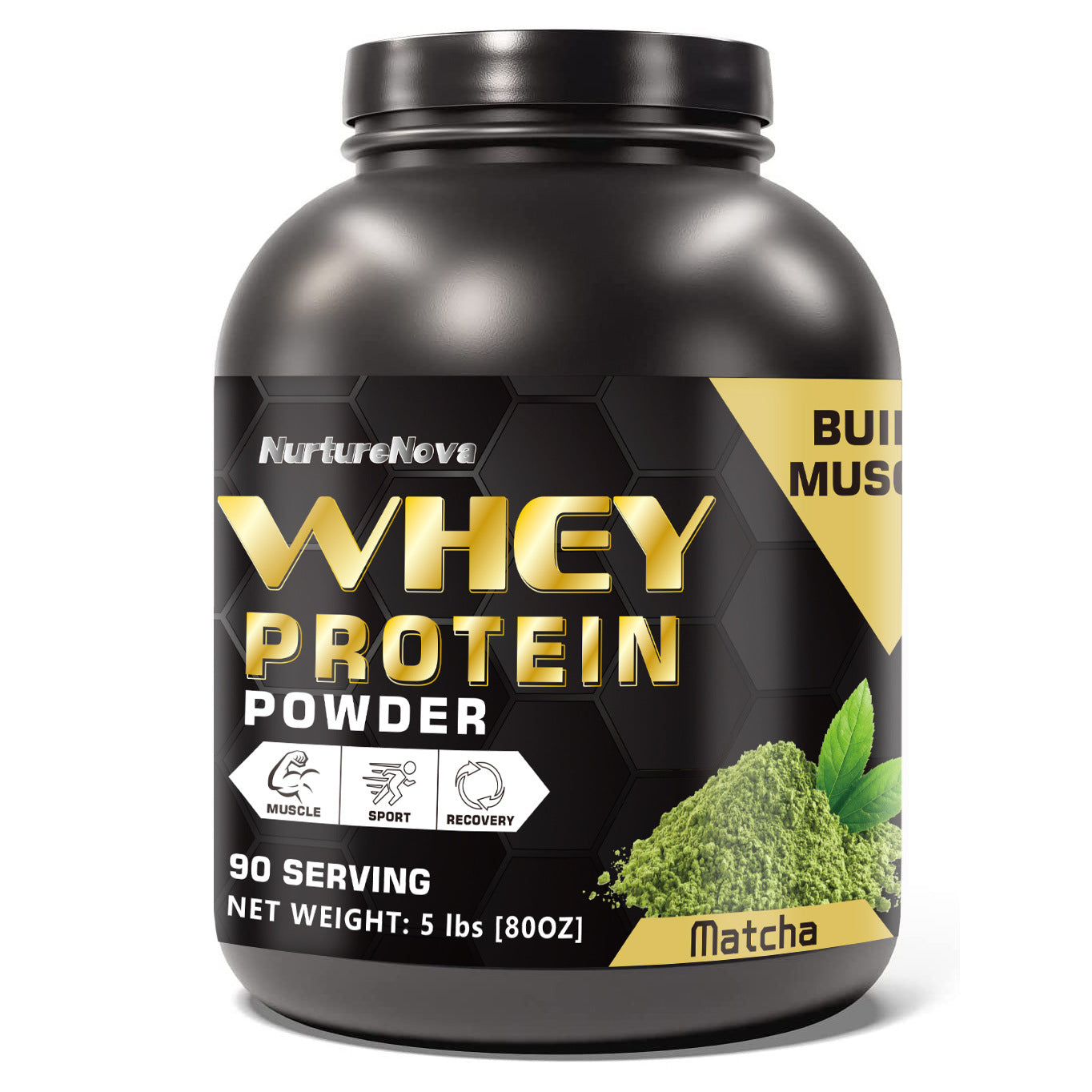 Whey Protein Powder 5Lbs Chocolate Strawberry Vanilla Matcha